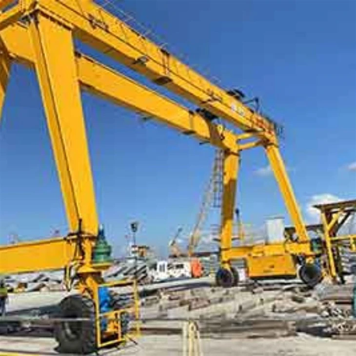 Double Beam Hook Door Crane