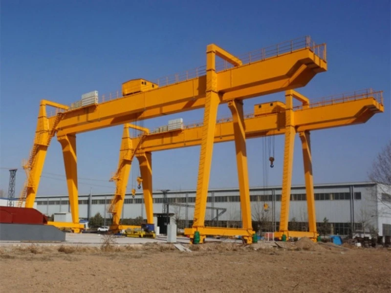 multipurpose gantry crane (3)